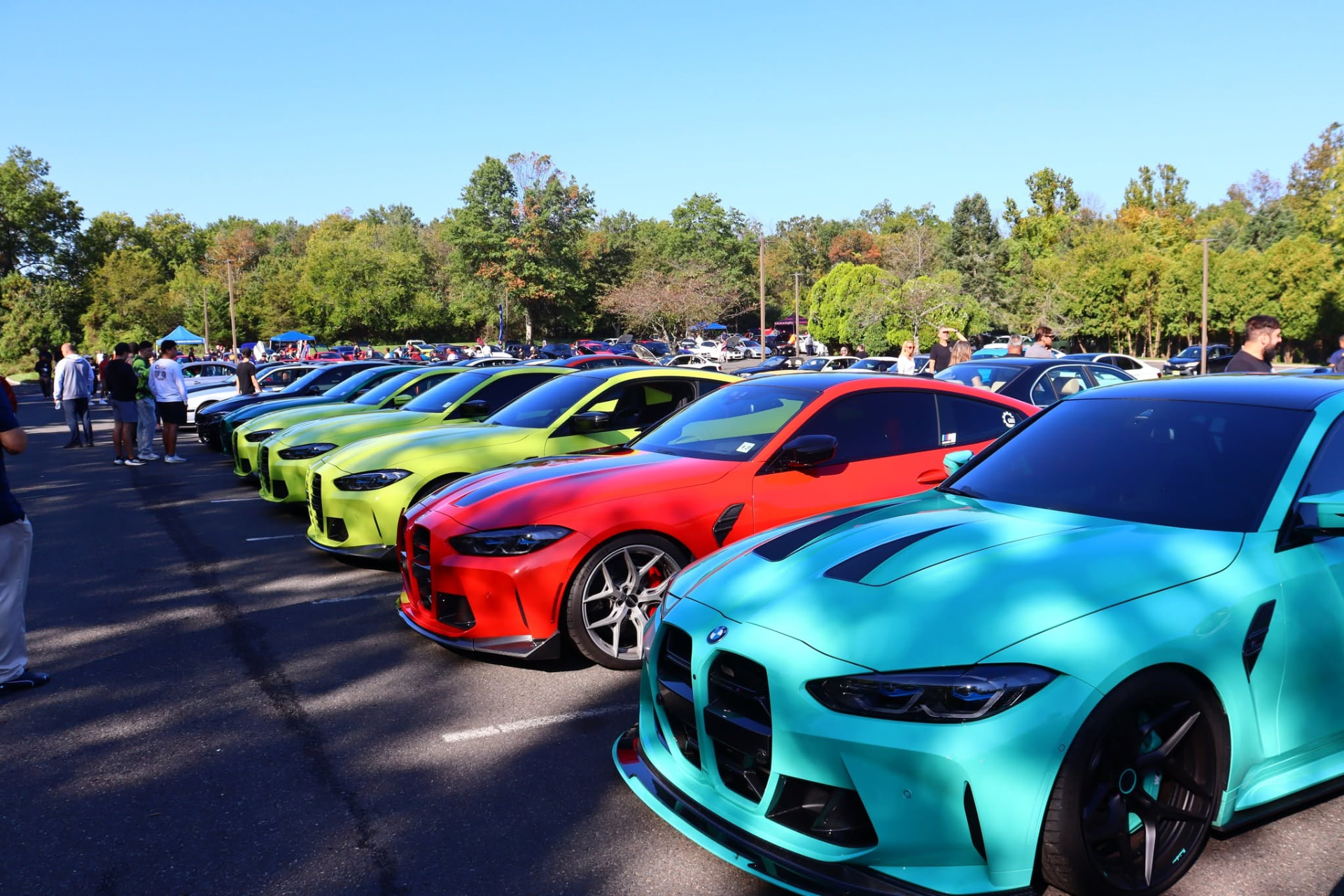 Long row of brightly wrapped BMW M4s in the show lot