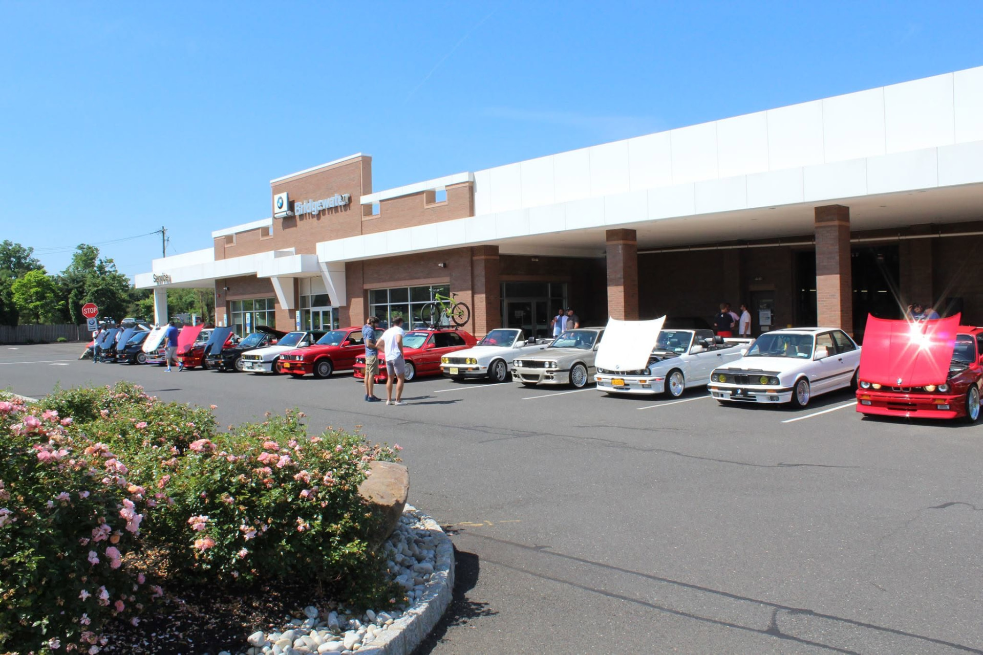Row of classic BMW E30s lined up outside BMW of Bridgewater